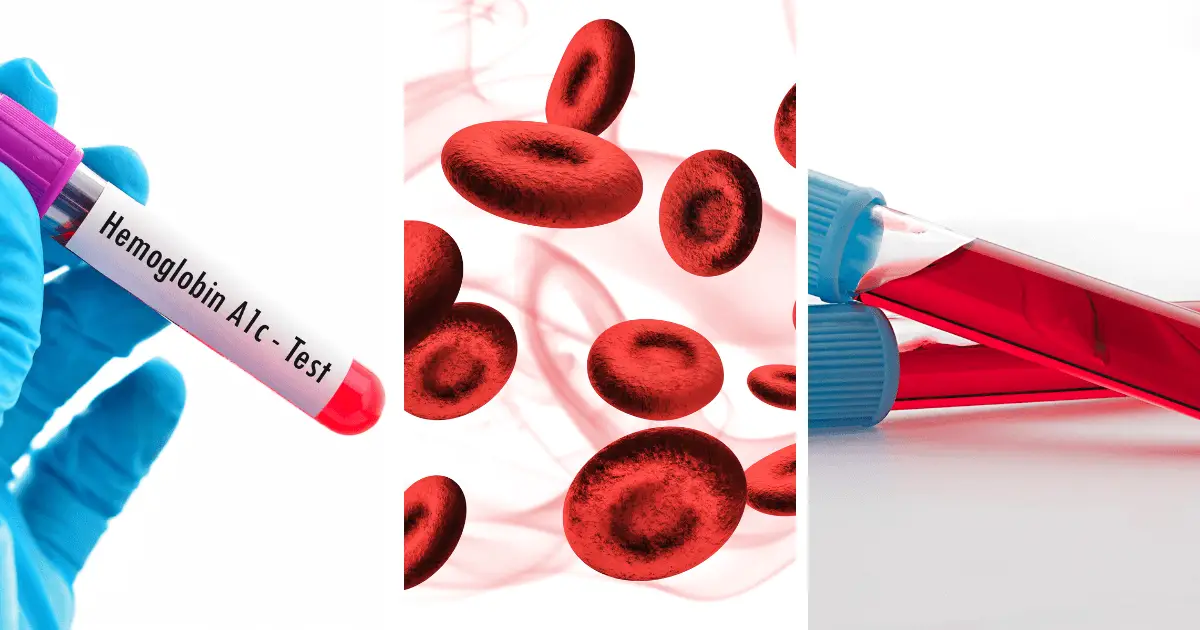 hemoglobin_adalah