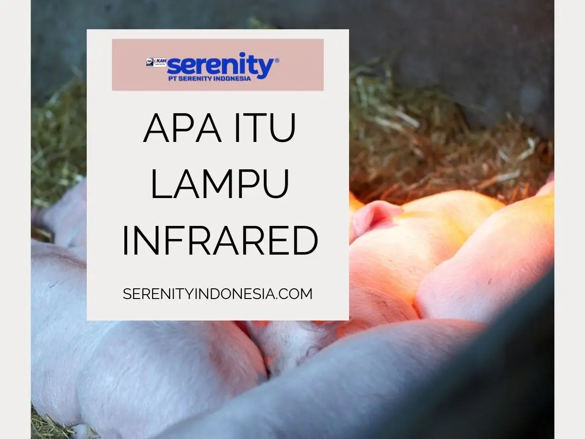 manfaat lampu infra red bagi kesehatan