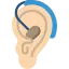 Hearing Aid