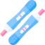 Pregnancy Test