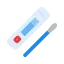 Rapid Test